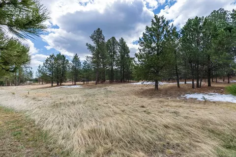 126 Surrey Ln, Custer, SD 57730 photo 16