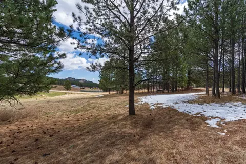 126 Surrey Ln, Custer, SD 57730 photo 12