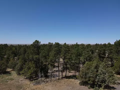 tbd Pine Ave, Upton, WY 82730