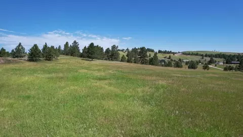 13660 Highway 40, Keystone, SD 57751 photo 20