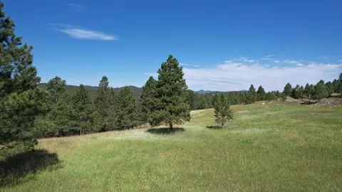 13660 Highway 40, Keystone, SD 57751 photo 8
