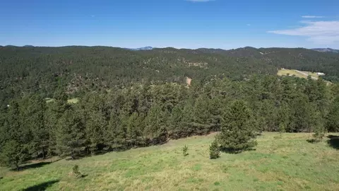 13660 Highway 40, Keystone, SD 57751 photo 18