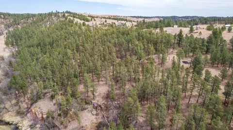 13660 Highway 40, Keystone, SD 57751 photo 23