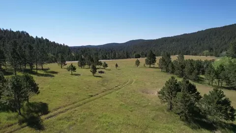 13660 Highway 40, Keystone, SD 57751 photo 4