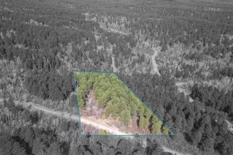 2203 Pasque Loop, Spearfish, SD 57783 photo 12