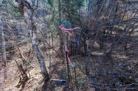 2203 Pasque Loop, Spearfish, SD 57783 photo 6