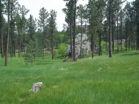 12158 Fairway Dr, Custer, SD 57730 photo 3