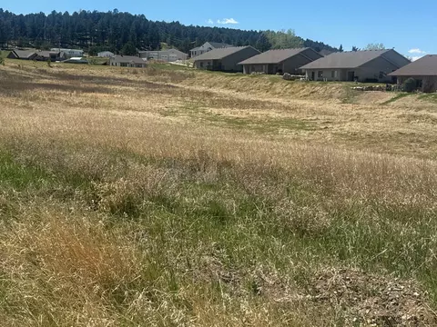 Block 1, Custer, SD 57730 photo 4