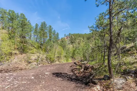 tbd Vip Rd, Hermosa, SD 57744 photo 34