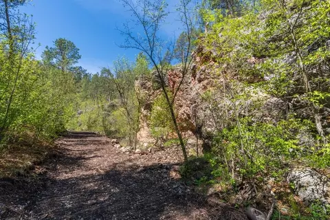 tbd Vip Rd, Hermosa, SD 57744 photo 22