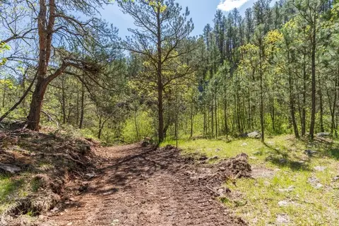 tbd Vip Rd, Hermosa, SD 57744 photo 30