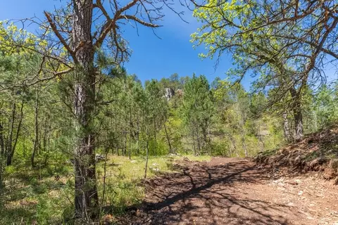 tbd Vip Rd, Hermosa, SD 57744 photo 27