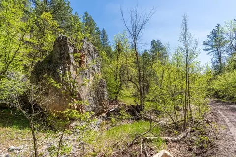 tbd Vip Rd, Hermosa, SD 57744 photo 31