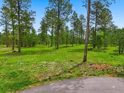 tbd Misty Moon Ct, Lead, SD 57754 photo 3