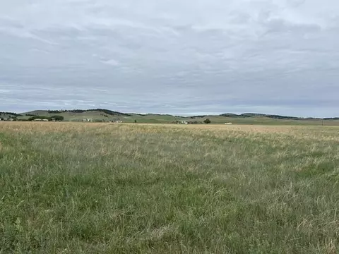 tbd Downen Rd, Hermosa, SD 57744 photo 4