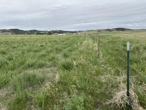 tbd Downen Rd, Hermosa, SD 57744 photo 6