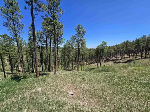 13752 Borglum Rd, Keystone, SD 57751 photo 24