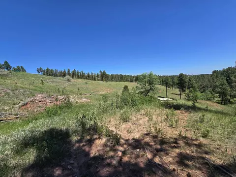 13752 Borglum Rd, Keystone, SD 57751 photo 21