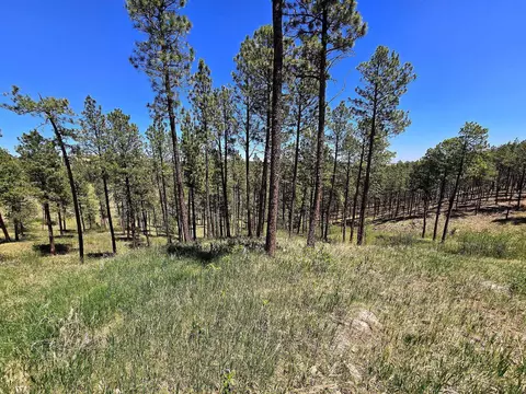 13752 Borglum Rd, Keystone, SD 57751 photo 18