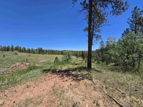13752 Borglum Rd, Keystone, SD 57751 photo 30