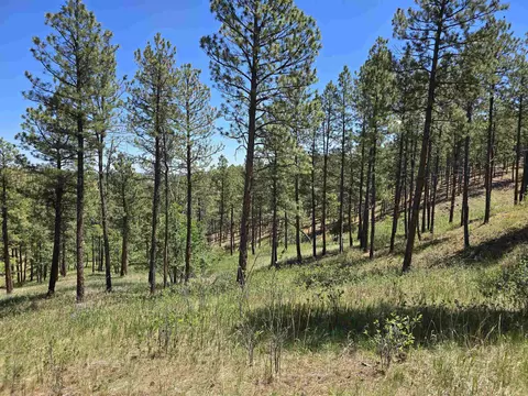 13752 Borglum Rd, Keystone, SD 57751 photo 28
