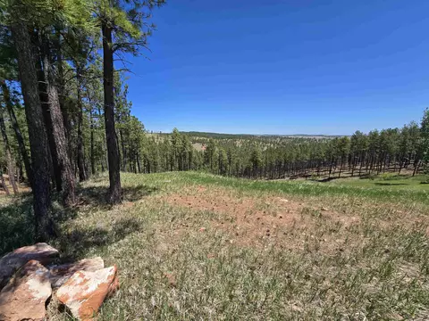 13752 Borglum Rd, Keystone, SD 57751 photo 23