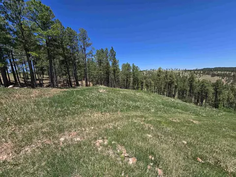 13752 Borglum Rd, Keystone, SD 57751 photo 16