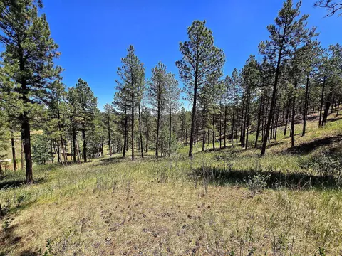 13752 Borglum Rd, Keystone, SD 57751 photo 27