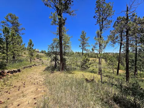 13752 Borglum Rd, Keystone, SD 57751 photo 29