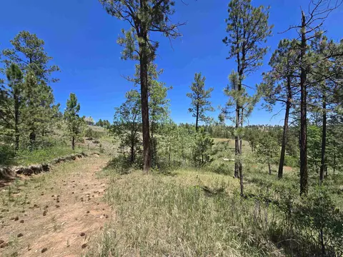 13752 Borglum Rd, Keystone, SD 57751 photo 29