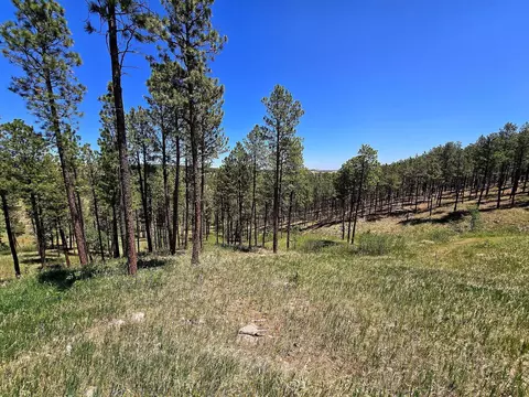 13752 Borglum Rd, Keystone, SD 57751 photo 24