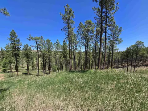 13752 Borglum Rd, Keystone, SD 57751 photo 31