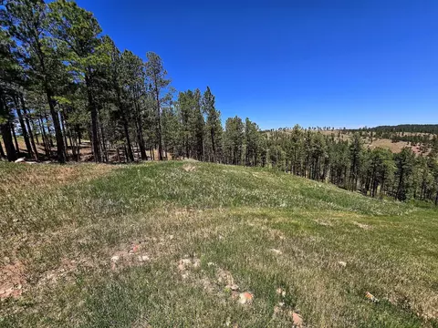 13752 Borglum Rd, Keystone, SD 57751 photo 16