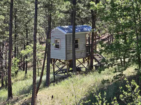 13752 Borglum Rd, Keystone, SD 57751 photo 32