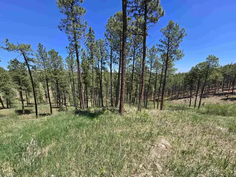 13752 Borglum Rd, Keystone, SD 57751 photo 18