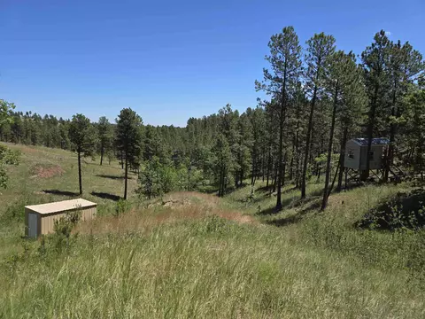 13752 Borglum Rd, Keystone, SD 57751 photo 22