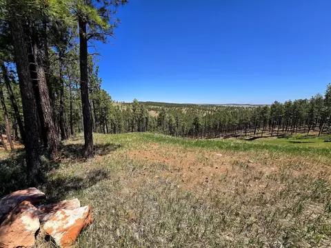 13752 Borglum Rd, Keystone, SD 57751 photo 23