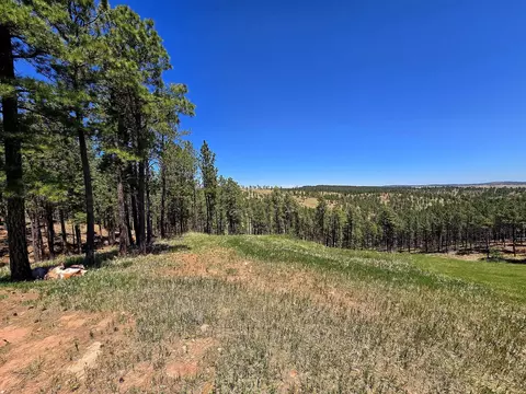 13752 Borglum Rd, Keystone, SD 57751 photo 17