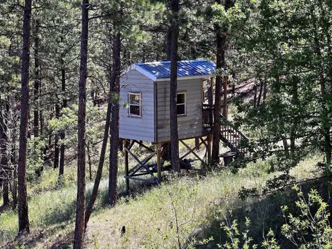 13752 Borglum Rd, Keystone, SD 57751 photo 32