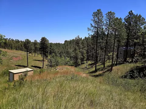 13752 Borglum Rd, Keystone, SD 57751 photo 22