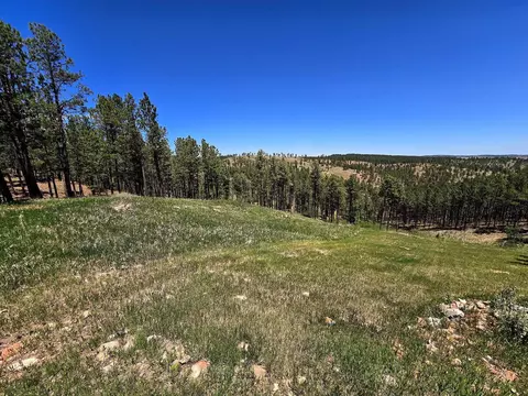 13752 Borglum Rd, Keystone, SD 57751 photo 15