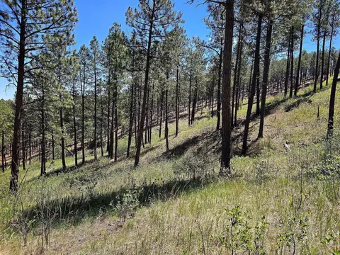 13752 Borglum Rd, Keystone, SD 57751 photo 19