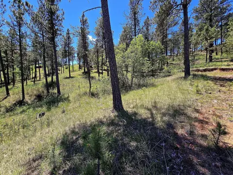 13752 Borglum Rd, Keystone, SD 57751 photo 26