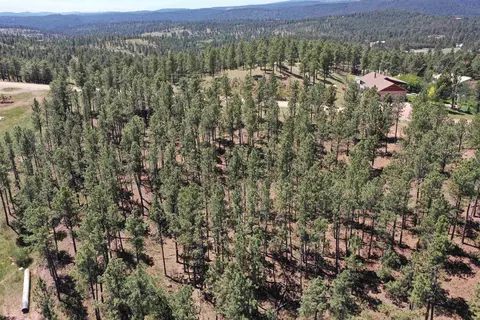 13752 Borglum Rd, Keystone, SD 57751 photo 4