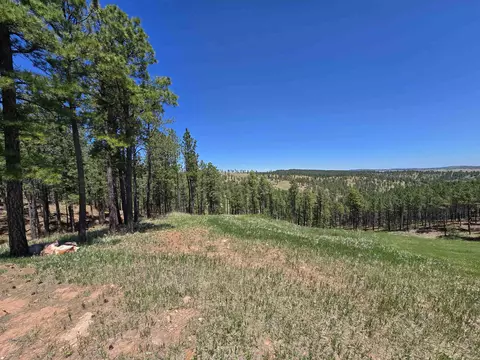 13752 Borglum Rd, Keystone, SD 57751 photo 17