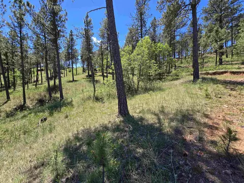 13752 Borglum Rd, Keystone, SD 57751 photo 26