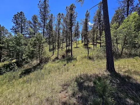 13752 Borglum Rd, Keystone, SD 57751 photo 25