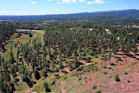 13752 Borglum Rd, Keystone, SD 57751 photo 13