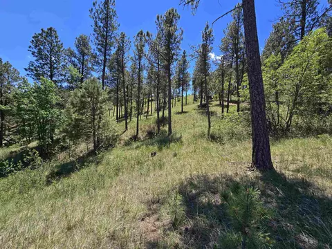 13752 Borglum Rd, Keystone, SD 57751 photo 25