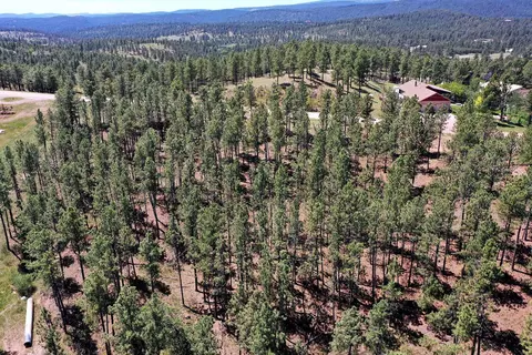 13752 Borglum Rd, Keystone, SD 57751 photo 4